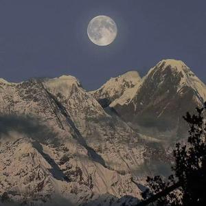 同志白嫩翘臀体育生视频
